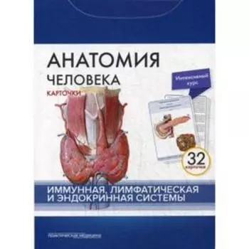 Анатомия человека: карточки. (32 шт). Иммунная, лимфатическая и эндокринная системы. Сапин М.Р., Николенко В.Н., Тимофеева М.О.