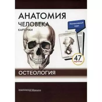 Анатомия человека - Остеология. Сапин Михаил Романович, Николенко Владимир Николаевич