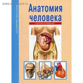 Анатомия человека. Узнай мир. Афонькин С.Ю.