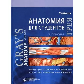 Анатомия Грея для студентов. Учебник для студентов мед. ВУЗов. 3-е издание. Дрейк Р.Л., Фогль А.У., Митчелл А.У.М.
