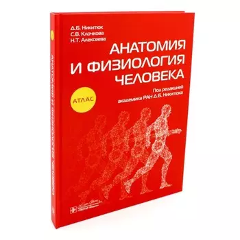 Анатомия и физиология человека. Никитюк Д.Б., Клочкова С.В., Алексеева Н.Т.
