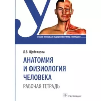 Анатомия и физиология человека. Щеблякова Л.В.