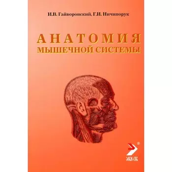 Анатомия мышечной системы. Мышцы, фасции и топография. Учебное пособие. 14-е издание, переработанное и дополненное. Гайворонский И.В., Ничипорук Г.И.