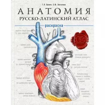Анатомия: русско-латинский атлас-раскраска. Билич Г.Л., Зигалова Е.Ю.