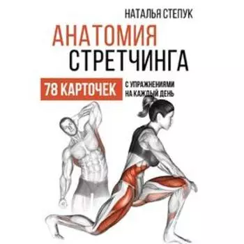 Анатомия стретчинга. 78 карточек с упражнениями на каждый день