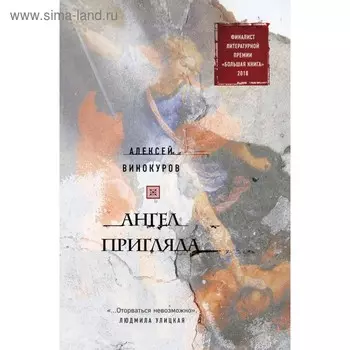 Ангел пригляда. Винокуров А. Ю.