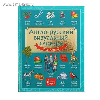 Англо-русский визуальный словарь для детей