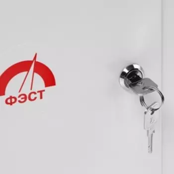 Аптечка для оказания первой помощи работникам ФЭСТ, металлический шкаф 250х310х100 мм, приказ 1331н