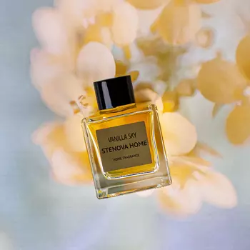 Аромадиффузор с палочками Stenova Home Vanilla Sky, 100 мл
