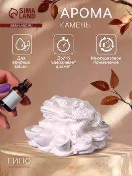 Аромакамень для эфирных масел «Фигурка. Жаба на деньгах», для шкафа, гипс, 743 см