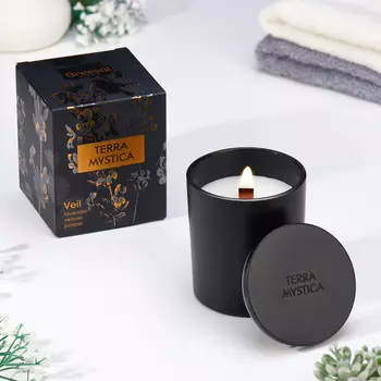 Ароматическая свеча Breesal TERRA MYSTICA «Veil» (Вуаль) (12)