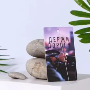 Ароматизатор в авто «Держи дорогу», аромат: свежесть