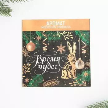 Ароматизатор в конверте «Время чудес», 11 х 11 см