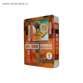 Ароматизатор воздуха "BIG FRESH" тропическая дыня