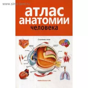 Атлас анатомии человека. 2-е издание, дополненное и переработанное. Ред. Красичкова Е. Г.