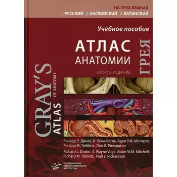 Атлас анатомии Грея. Учебное пособие на 3-х языках: русский, английский, латинский. 2-е издание. Дрейк Р.Л., Фогль А.У., Митчелл А.У.М.