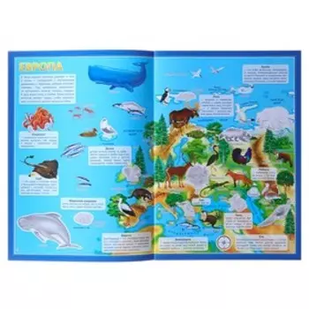 Атлас Мира с наклейками «Животные и растения», 21 29.7 см