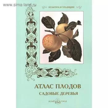 Атлас плодов. Садовые деревья. Пантилеева А.