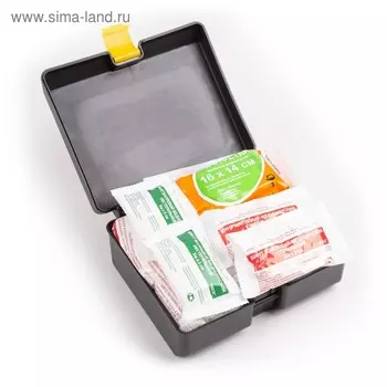 Автомобильная аптечка Autoprofi, пластиковый малый футляр