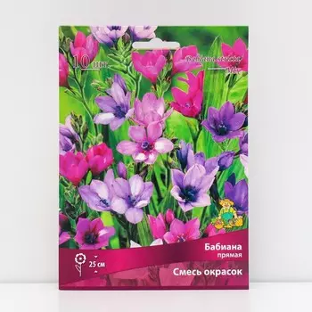 Бабиана прямая Смесь окрасок, луковица, 10 шт., р-р 5+