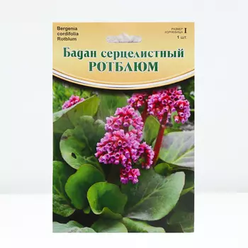 Бадан "Rotblum", р-р I, 1 шт, Весна 2024