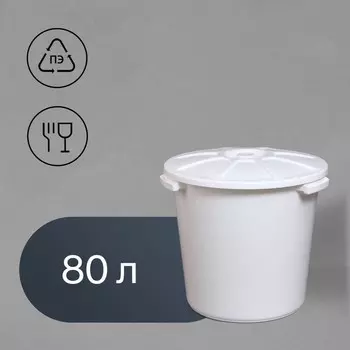 Бак пищевой, 80 л, пластиковый, с крышкой, МИКС