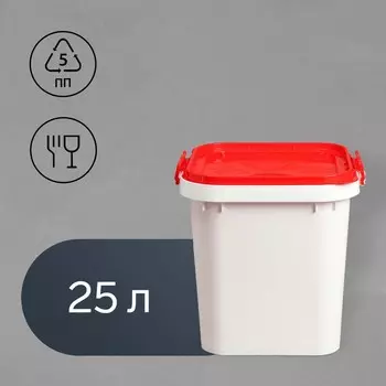 Бак пищевой «Для солений», 25 л, с герметичной крышкой