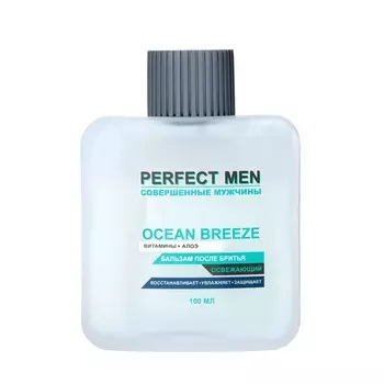 Бальзам после бритья Perfect Ocean Breeze освежающий, 100 мл