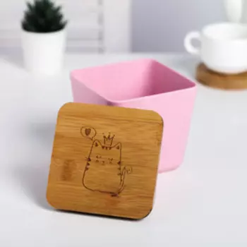 Банка для хранения «Котик», 700 мл