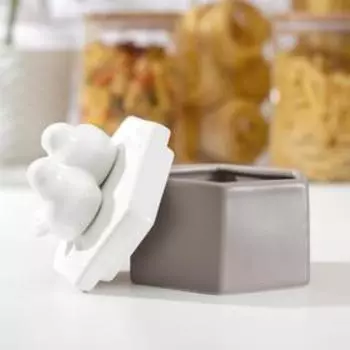 Банка керамическая для сыпучих продуктов «Белое крыло», 11×9,7 см, цвет серый