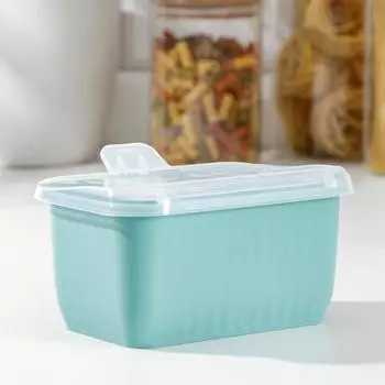 Банка пластиковая для сыпучих продуктов «Цветик», 2 отделения, 2 ложки 17×11×9 см, цвет МИКС