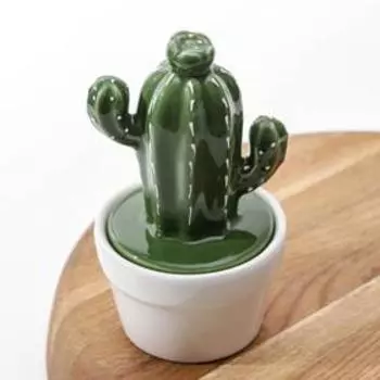 Банка для хранения сыпучих продуктов Доляна «Кактус», 160 мл, 8814 см, керамическая