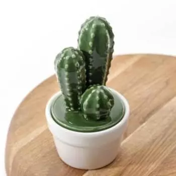 Банка для хранения сыпучих продуктов Доляна «Кактус», 170 мл, 8815 см, керамическая