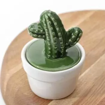 Банка для хранения сыпучих продуктов Доляна «Кактус», 170 мл, 8812 см, керамическая