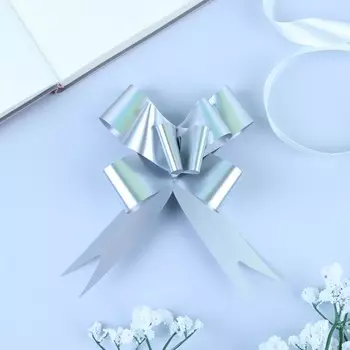 Бант - бабочка №3 голография, серебряный