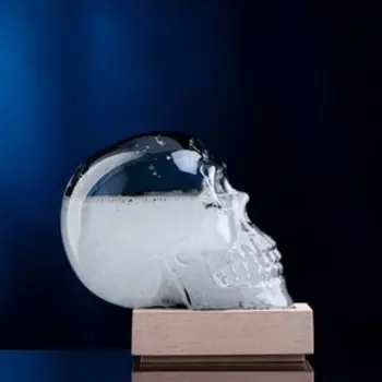 Барометр-штормгласс «Череп», 109 см