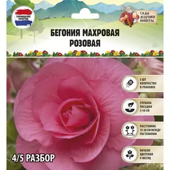 Бегония махровая «Розовая», луковицы, р-р 4/5, 5 шт.