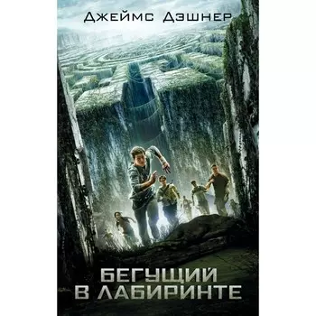 Бегущий в Лабиринте. Д. Дэшнер