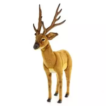 Белохвостый олень, 105 см