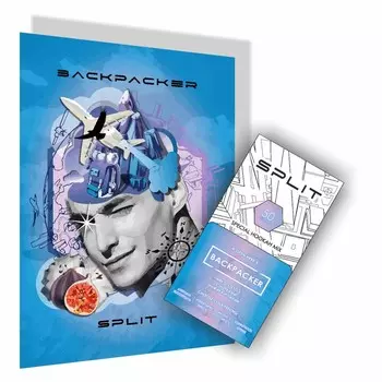 Бестабачная никотиновая смесь для кальяна SPLIT "Алоэ, инжир, лилия", 50 г