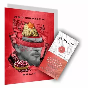 Бестабачная никотиновая смесь для кальяна SPLIT "Клюква Брусника", 50 г