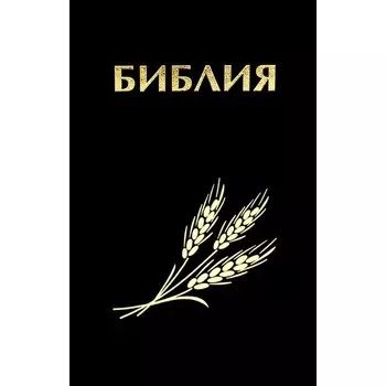 Библия. Книги Священного Писания Ветхого и Нового Завета канонические в русском переводе с параллельными местами
