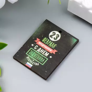 Бирка "23 февраля. Защитник" 3х4 см
