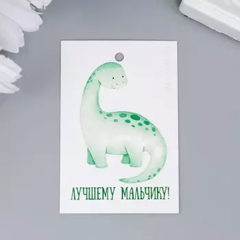 Бирка "Мальчику" 4х6 см