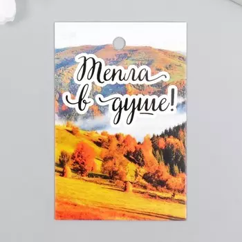 Бирка "Пейзаж" 4х6 см