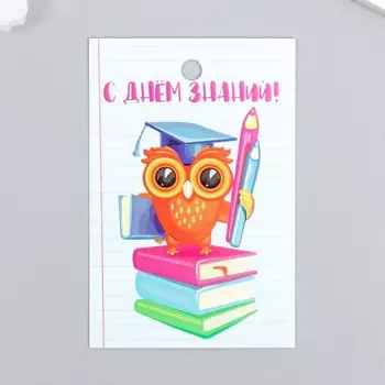 Бирка "Сова" 4х6 см