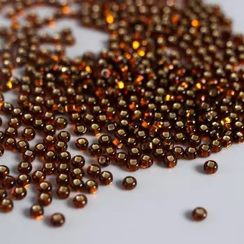 Бисер Чехия "Preciosa" 5г 10/0 (17110)