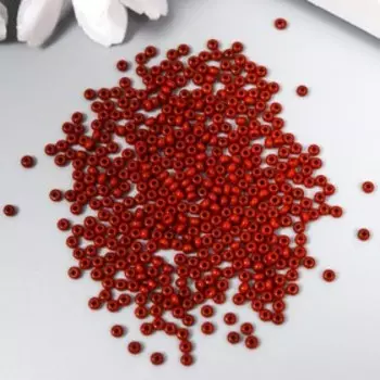 Бисер Чехия "Preciosa" 5г 10/0 (13600)