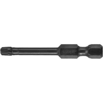 Бита ударная ЗУБР 26025-25-50-S2, T25 х 50 мм, 2 шт.