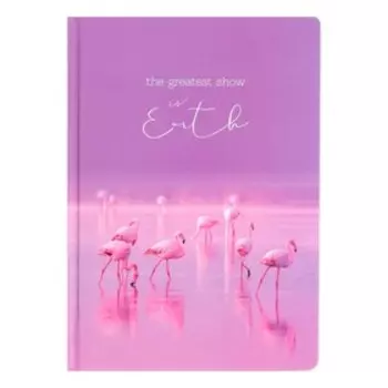 Бизнес-блокнот А5, 64 листа в клетку "Краски природы", евроформат, твёрдая обложка, глянцевая ламинация, блок офсет, МИКС